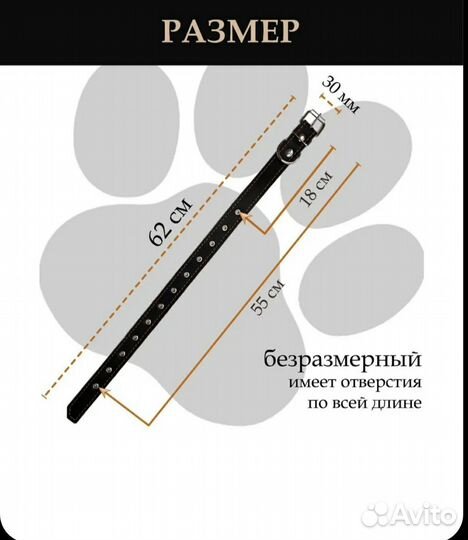 Ошейник и поводок для собаки