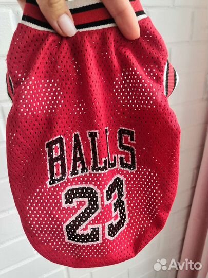 Одежда для собак