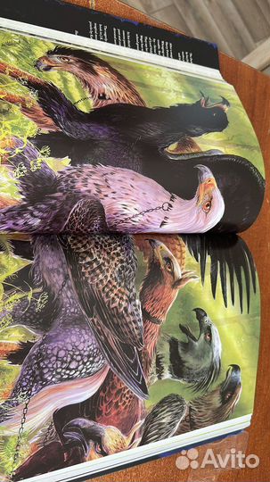 Иностранные книги