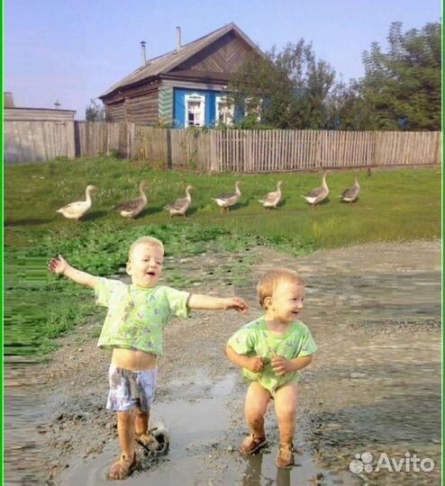 Муларды индоутки гусята