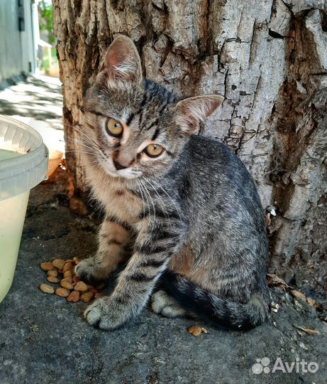 Заберите ребёнка домой