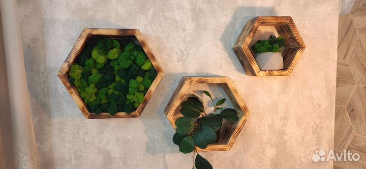 Полки в виде сот