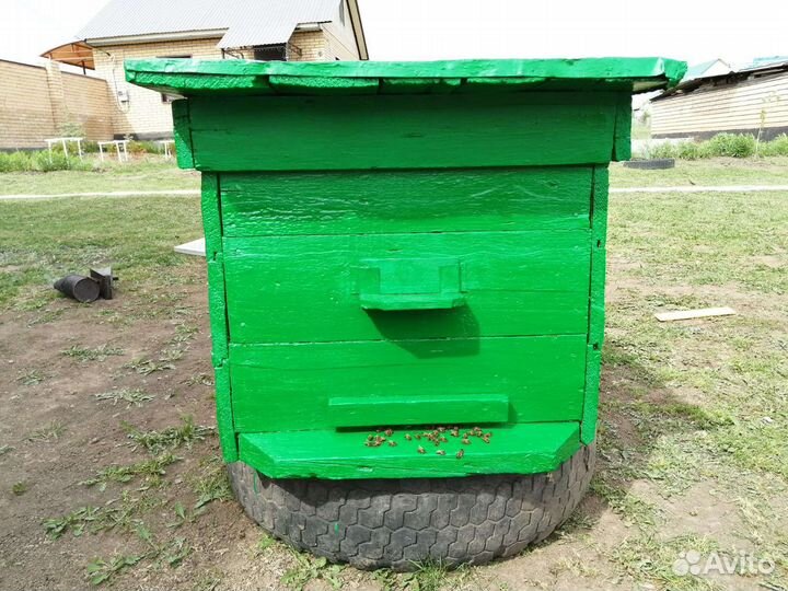 Продажа пчелосемьи