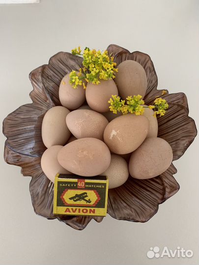 Яйца цесарки диетические и гипоаллергенные