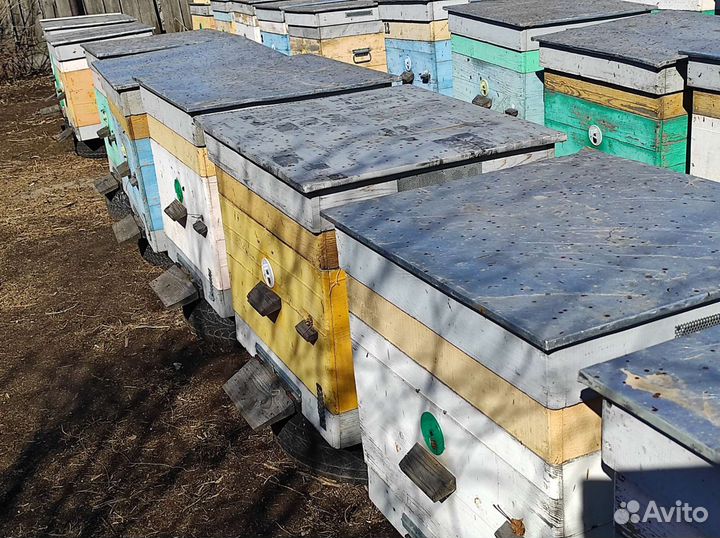 Ульи дадан 15ти рамочные, многофункциональные