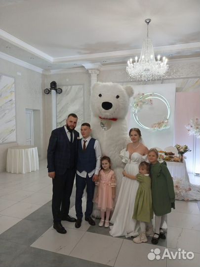 Белый мишка, Панда,Александр Ревва поздравление