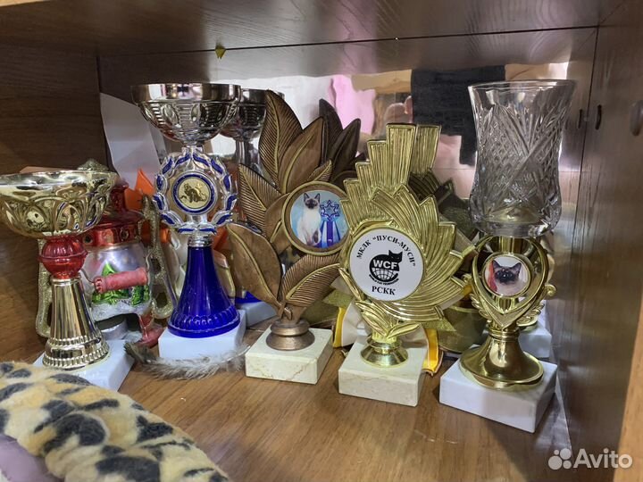 Кубки, наградные розетки