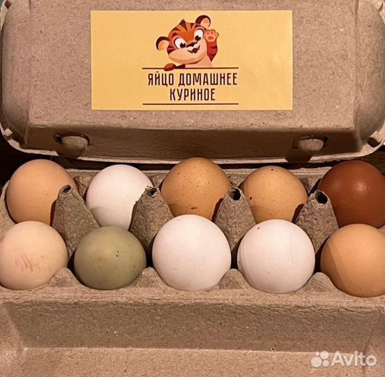 Мясо домашней птицы