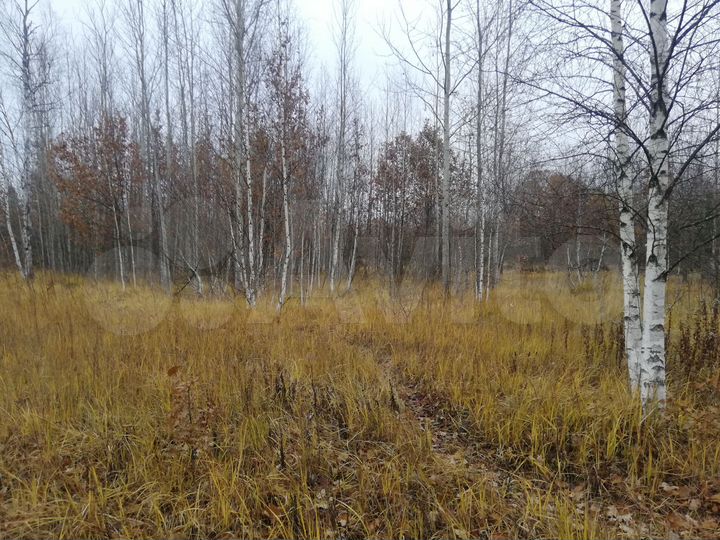 Участок 15 сот. (СНТ, ДНП)