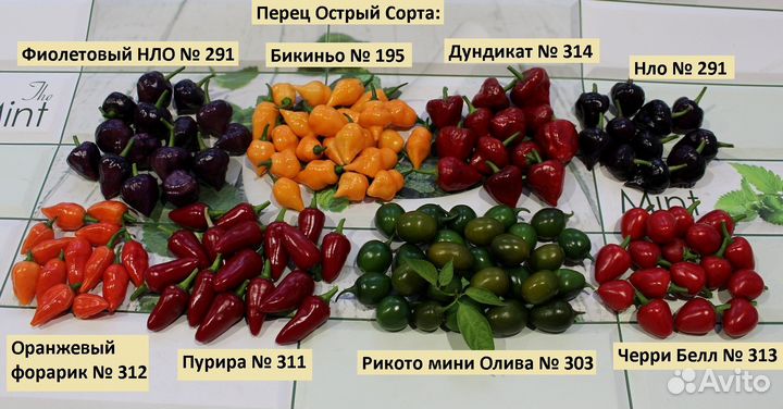 Семена острого перца