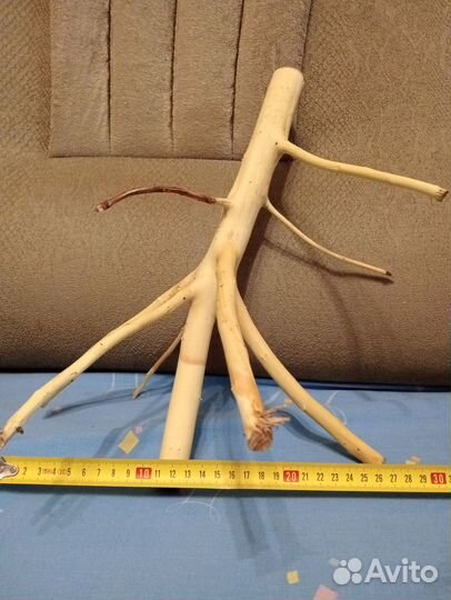 Коряга в аквариум