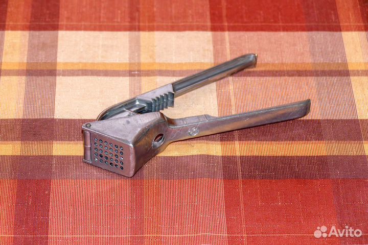 Чесночница СССР большая и увесистая