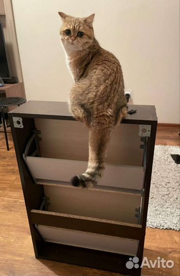 Обувница новая