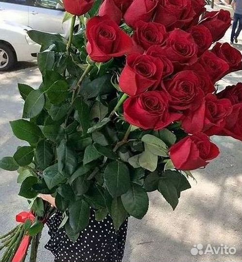 Высокие розы Букеты с доставкой