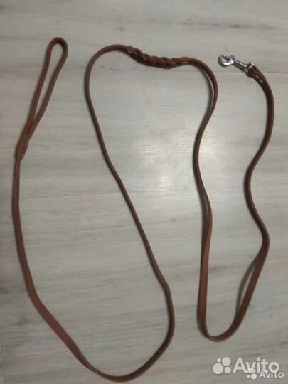 Когтерезки, поводки, ошейник