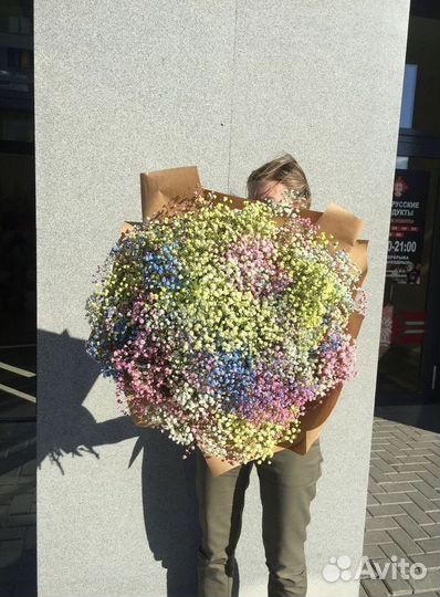 Цветы гипсофила