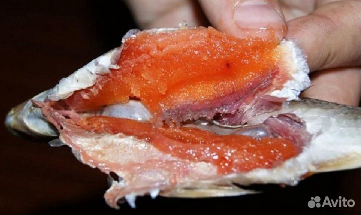 Рыба вяленая азовская малосол опт