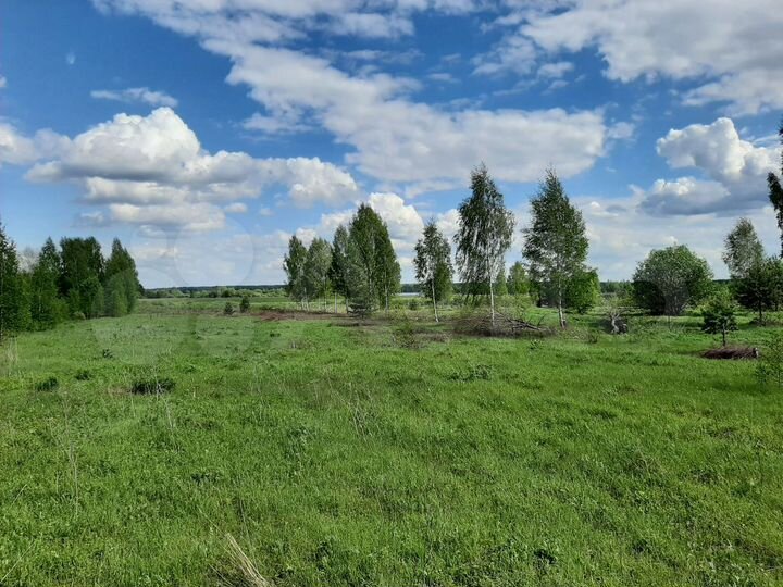 Участок 10 сот. (СНТ, ДНП)