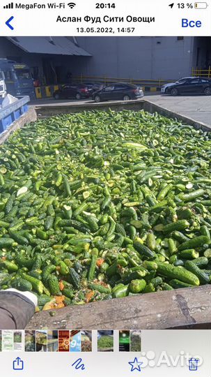 Приму в дар овощи и др. Пищевые отходы