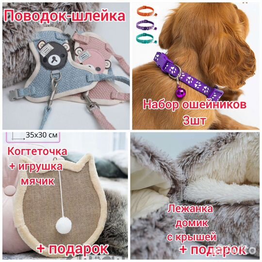 Когтеточка, шлейка поводок, набор ошейников