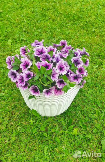 Кашпо из искусственного ротанга