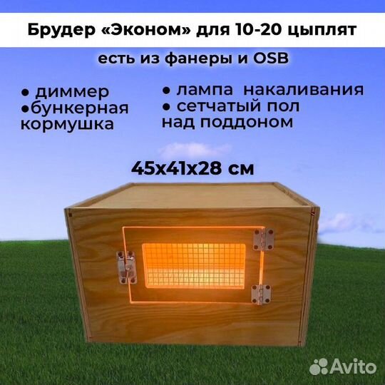 Брудер для цыплят