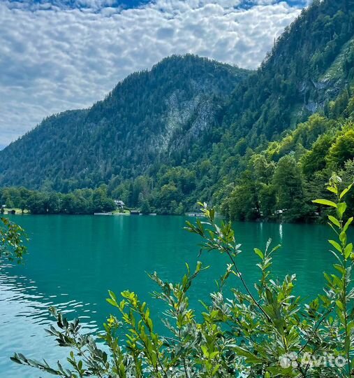 Разговорный немецкий с носителем