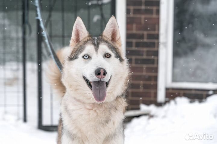 Парень метис