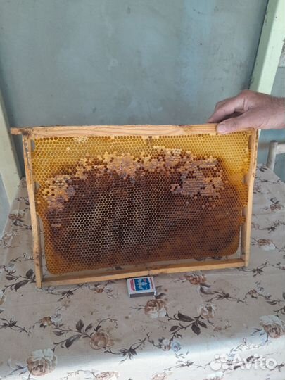 Рамки с вощинной продаю