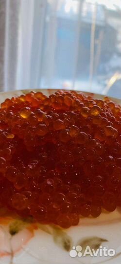 Красная икра кета2023