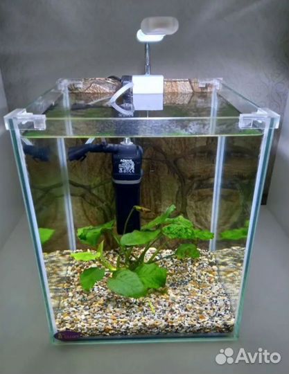 Продаю аквариум