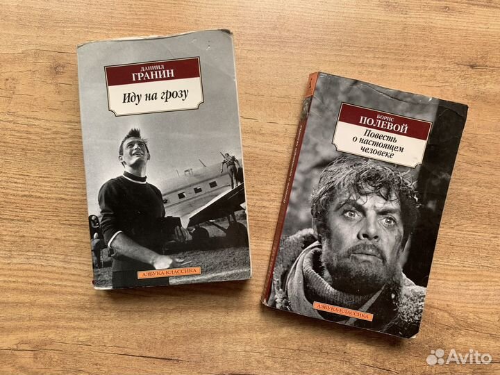 Повесть о настоящем человеке Гранин Иду на грозу