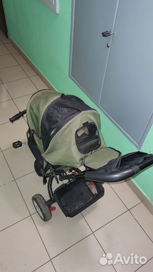 Детский велосипед Capella Action Trike II