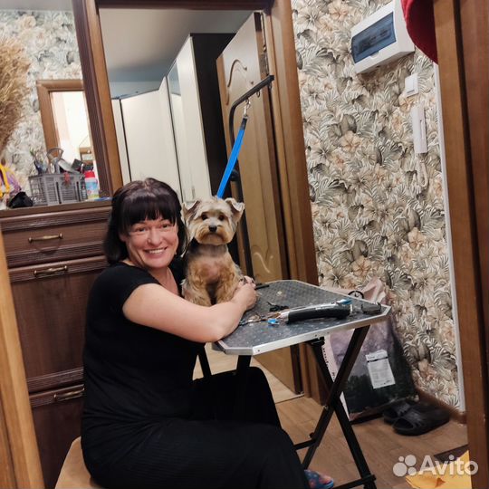 Грумер. Стрижка собак, уход за шерстью