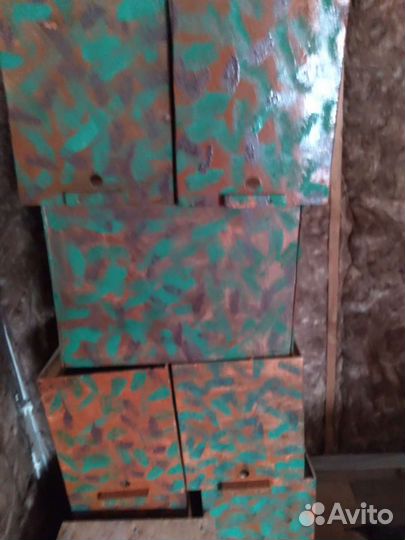 Ловушки для пчёл