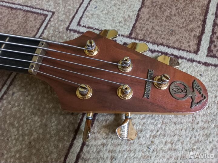 Alembic Epic 5