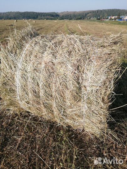 Сено в рулонах