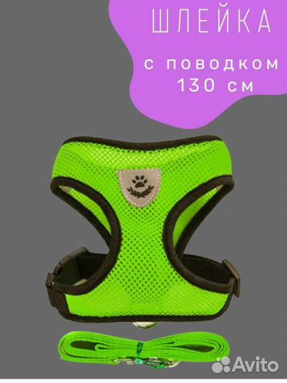 Шлейка для собак и кошек с поводком для прогулки