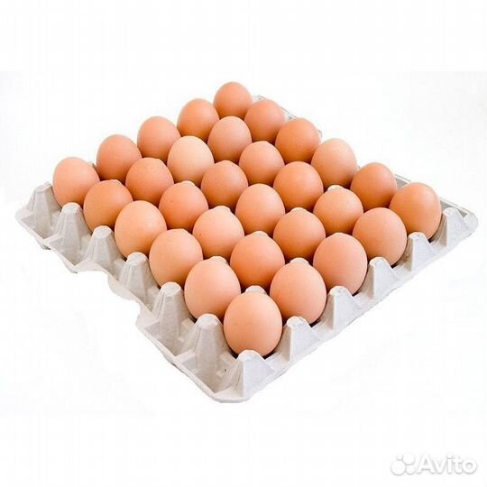 Яйцо куриное