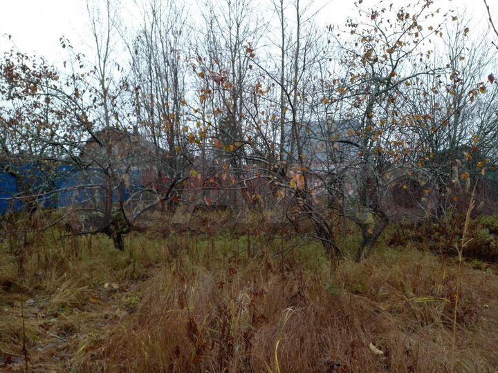 Участок 7,5 сот. (СНТ, ДНП)