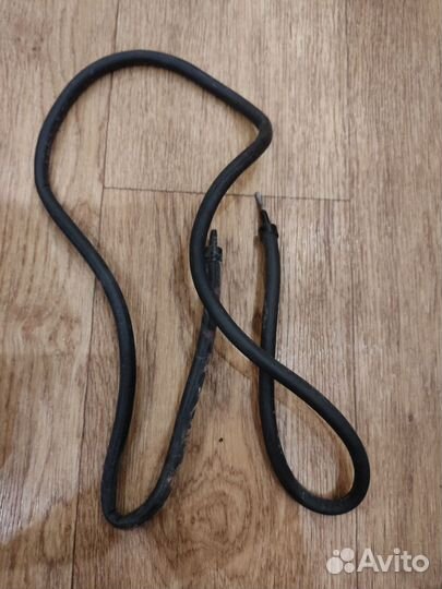 Аквариумистика