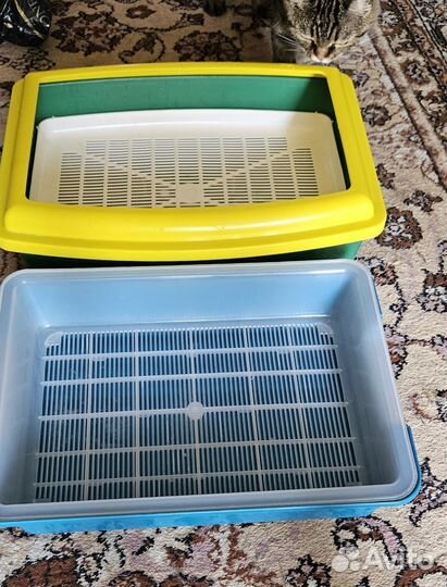 Лоток для кошек