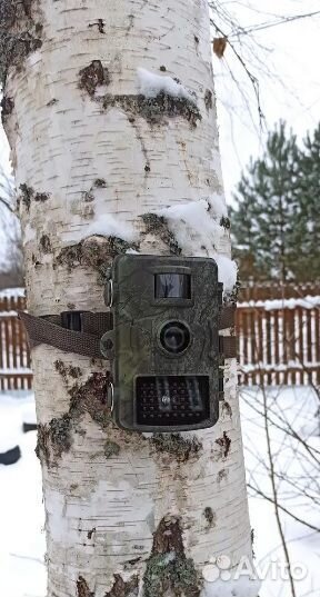 Фотоловушка