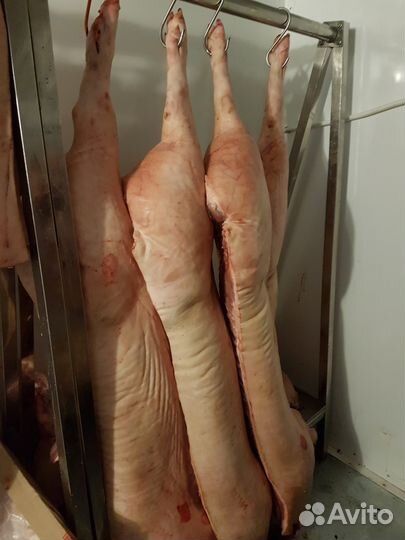 Мясо свинины в полутушах
