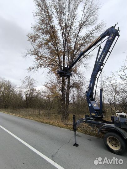Профессиональный спил деревьев