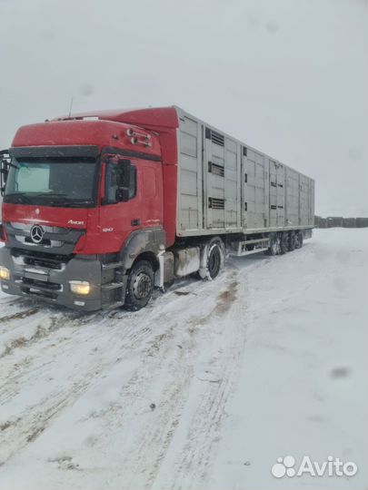 Полуприцеп для перевозки скота Балтспецмаш Скотовоз, 2011
