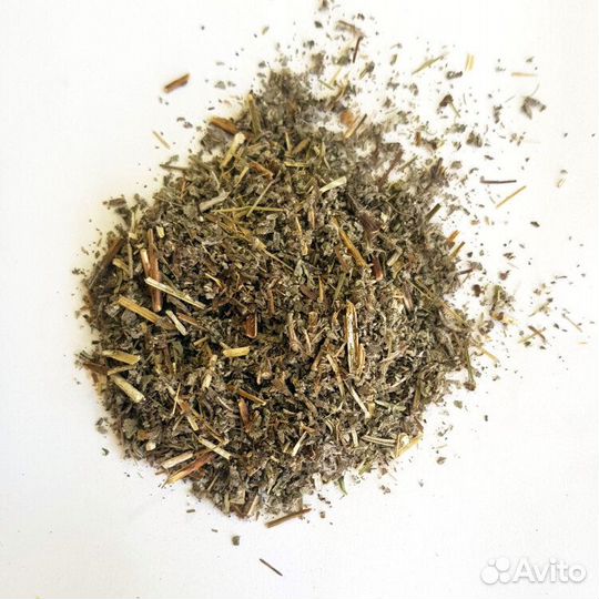 Кошачья мята (котовник)