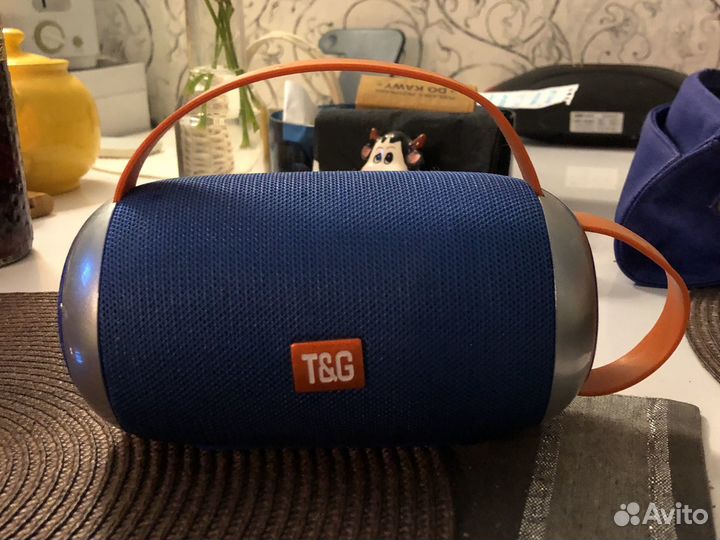 Портативная колонка t&g