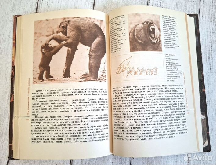 Матюшин Три миллиона лет до нашей эры