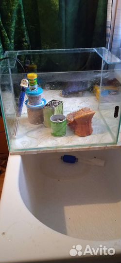 Для черепахи